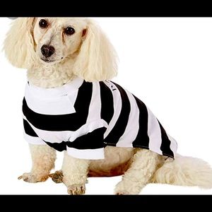 Bad shirt pets costume ❤️